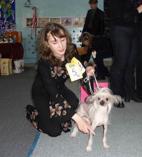 Platinum Peredajiz Elf