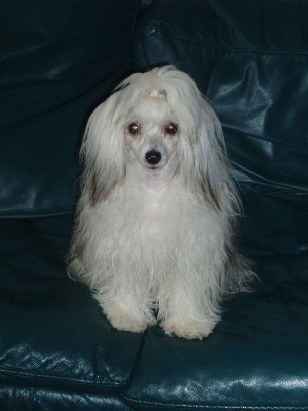 Baileys Choco z Valasskeho raje