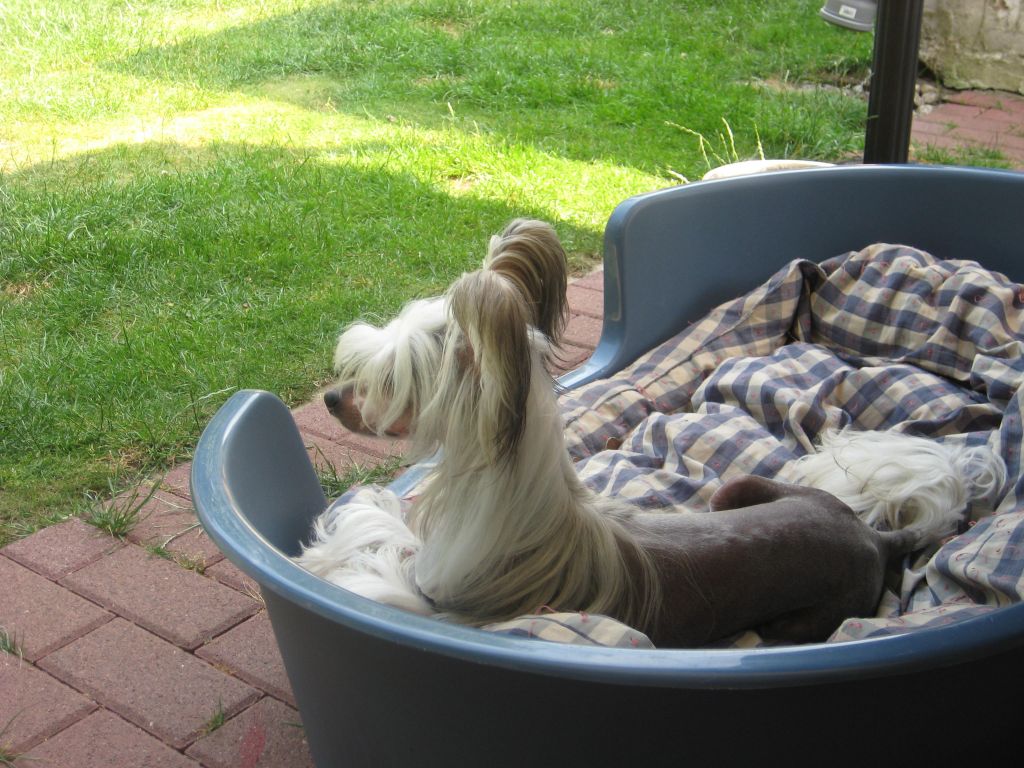 Buffalo Bill Nazarad