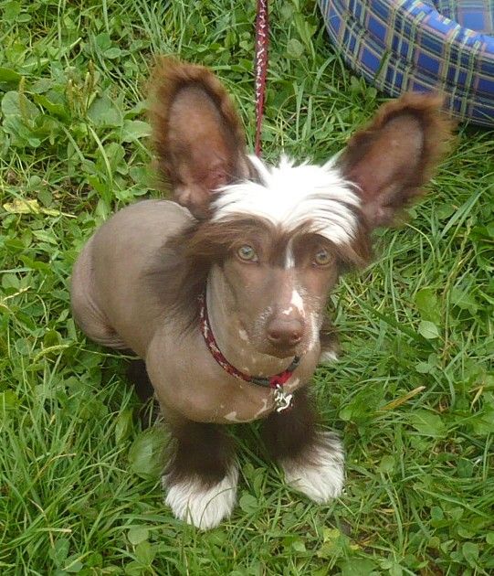 Norris z Kamilova dvora