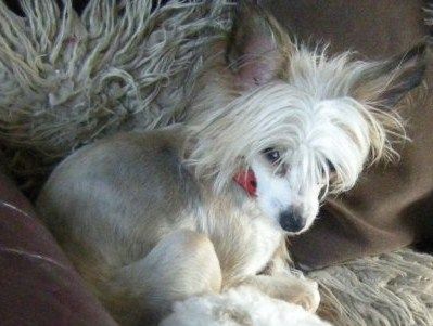 Philandiane We Are One at DidBairn