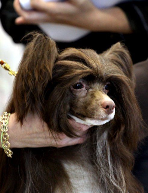 Milisenta Businka dlya Lyali Beloy