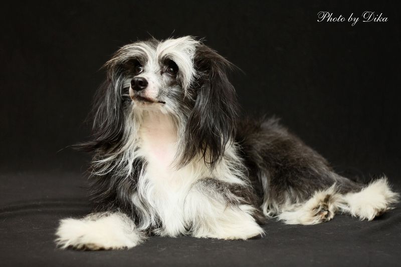 Yarkaya Zvezda Urala