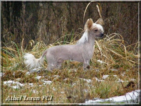 Secret Zagraj Vabanque