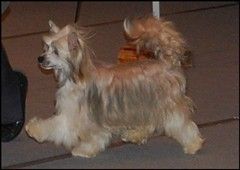 House Of Fun's Helping Hand