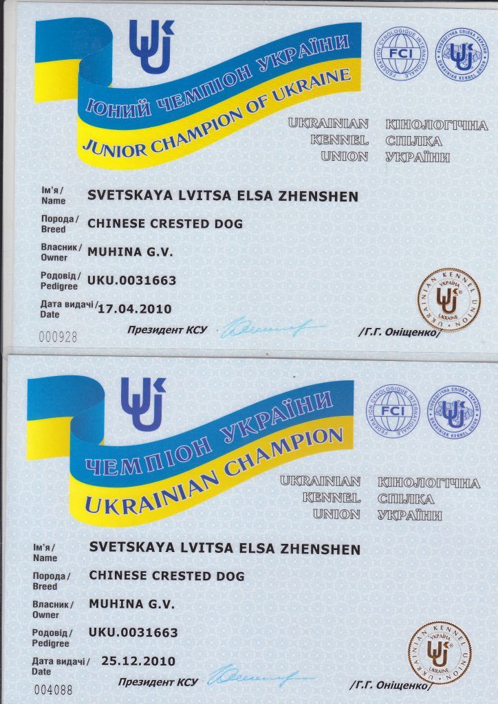 Svetskaya Lvitsa Elsa Zhenshen