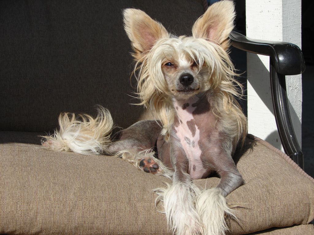 Bella Biches Hey There Delilah