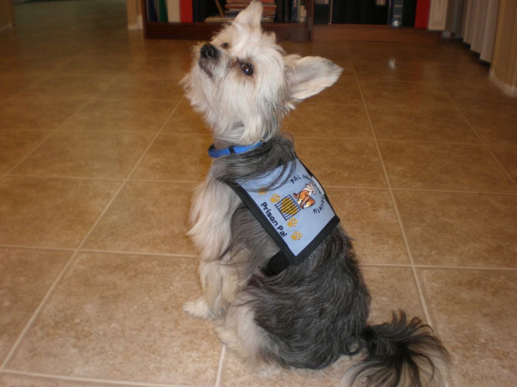 Bella Biche's Peacemaker