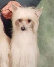 We-B Candas Blaze Of Glory