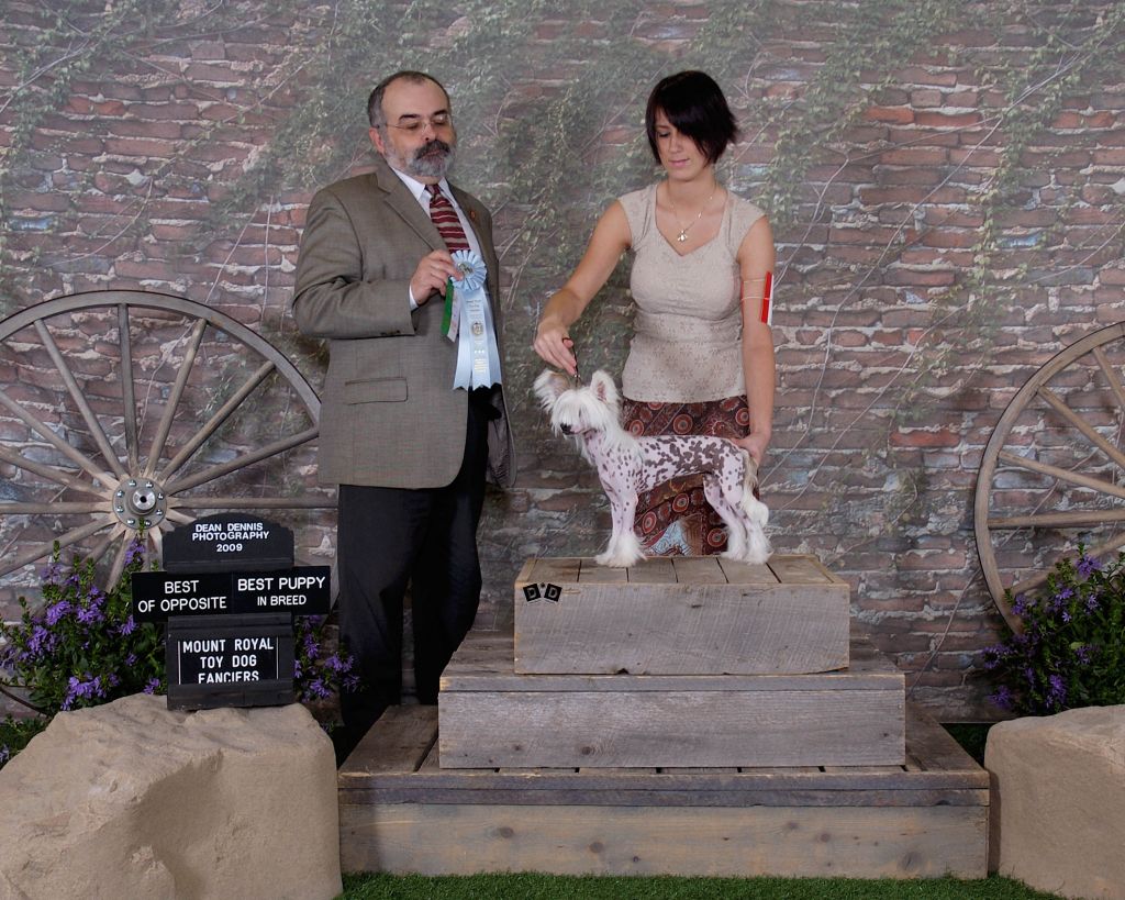 Ella With a Twist N'Co