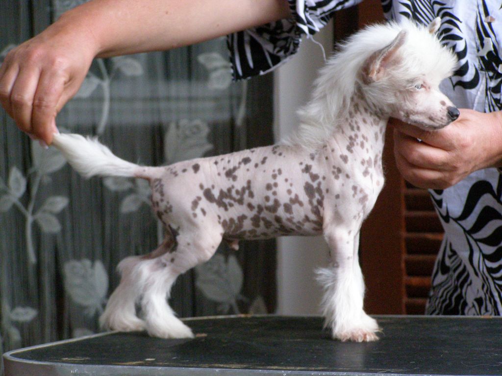 New Wave Milky Way de GabriTho