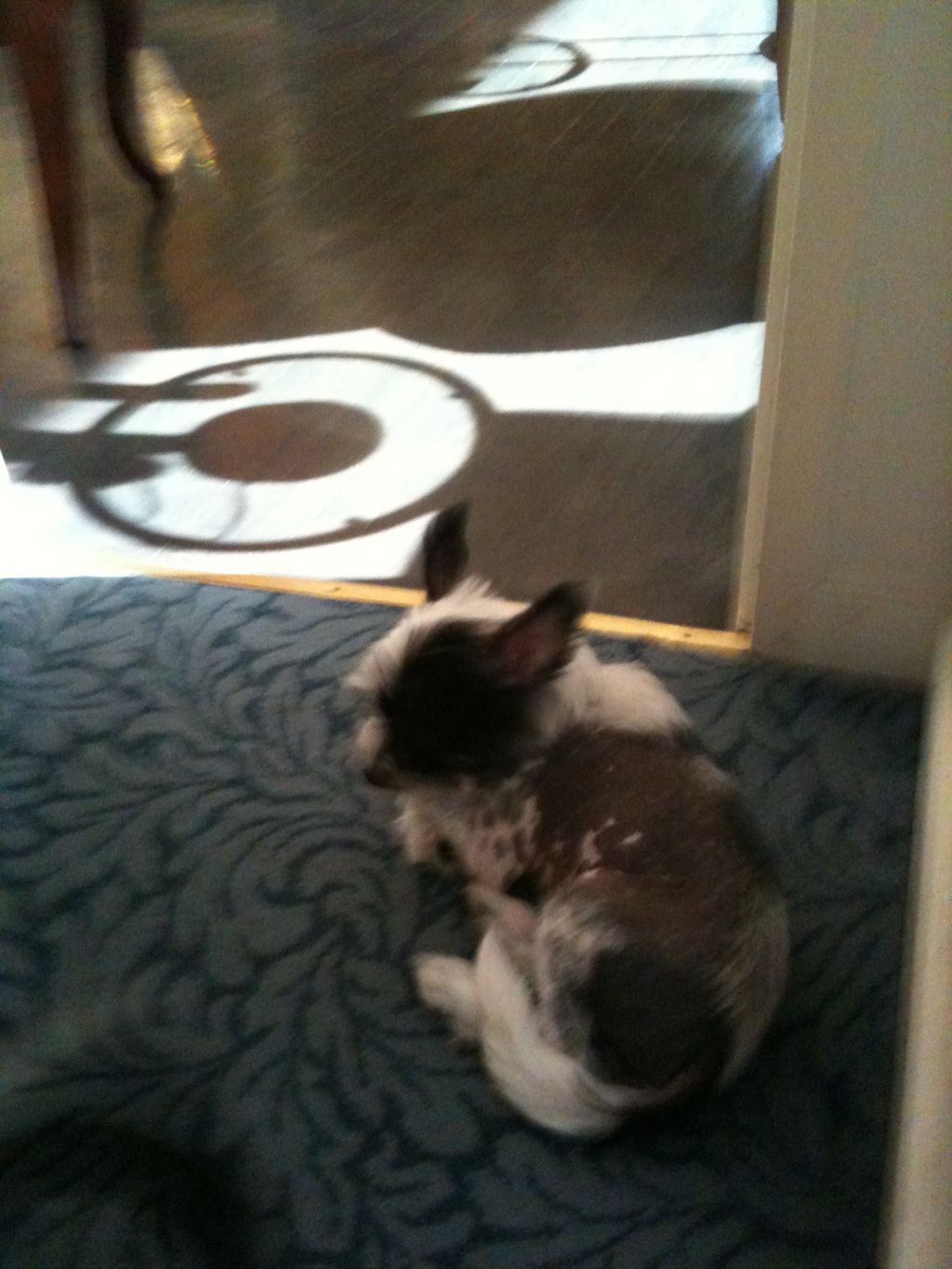 Empire Rockefeller Center