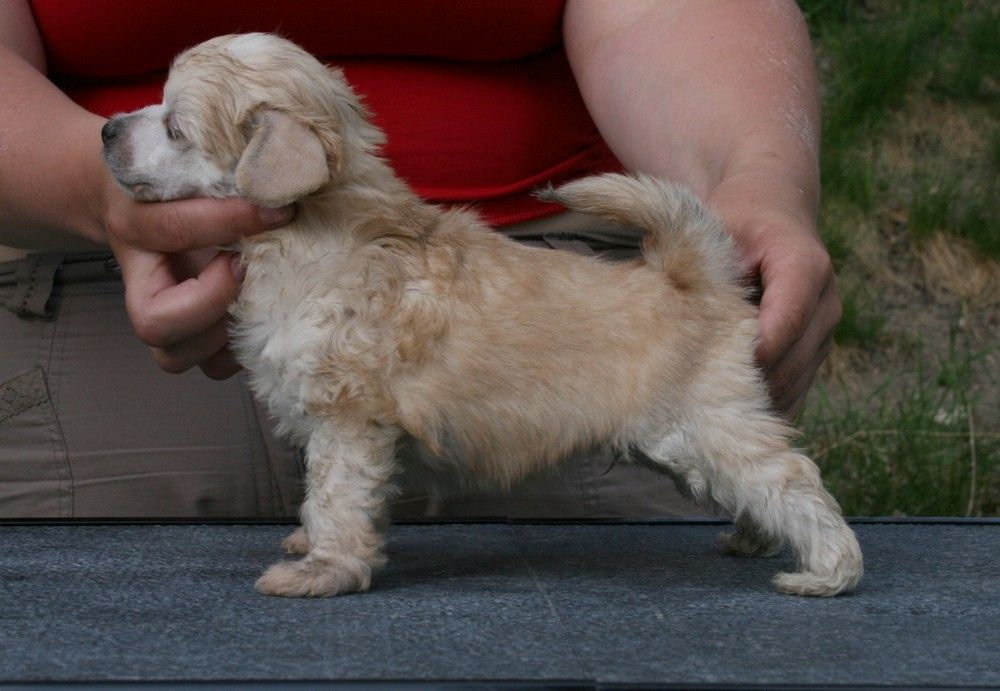 Sun Dan Special For You