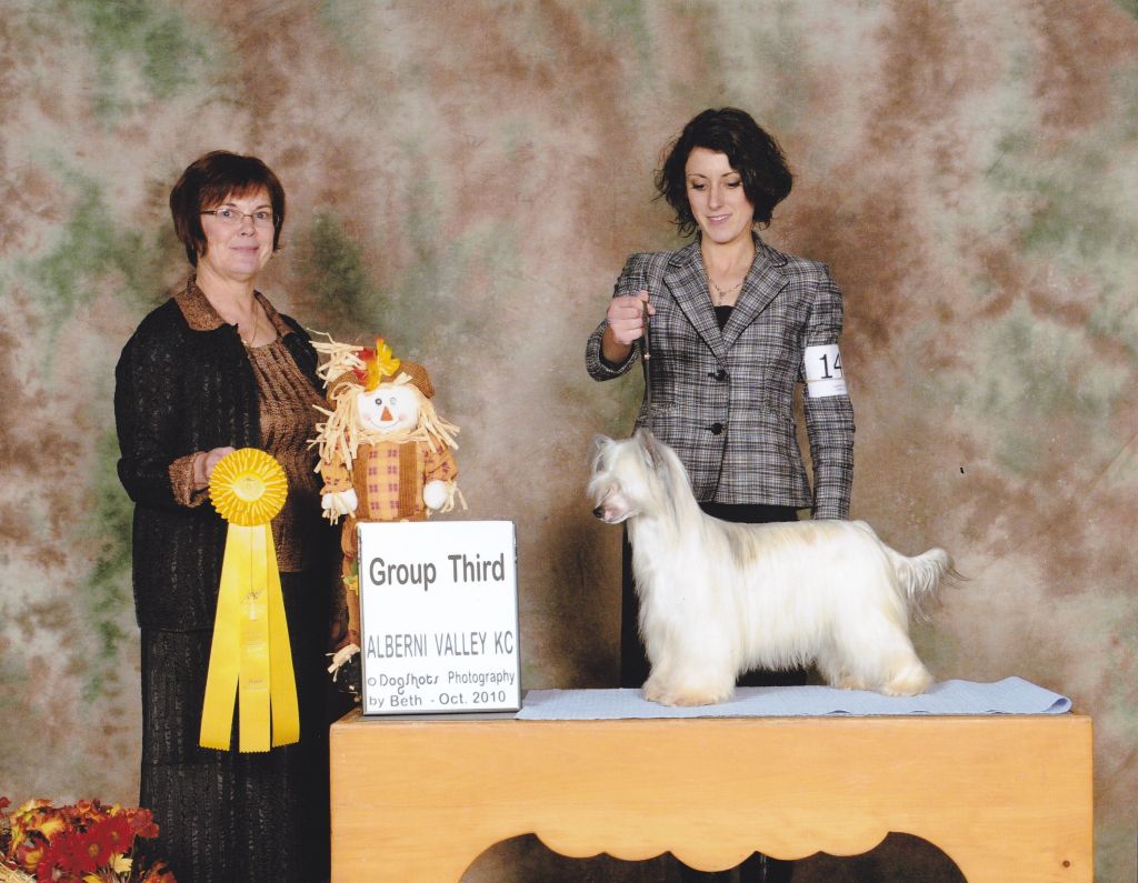 Wavecrest Billie Jean