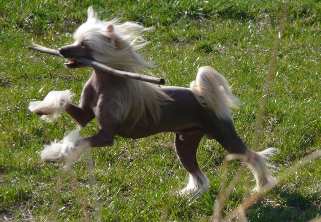 Scheulings Castle Dolce & Gabbana