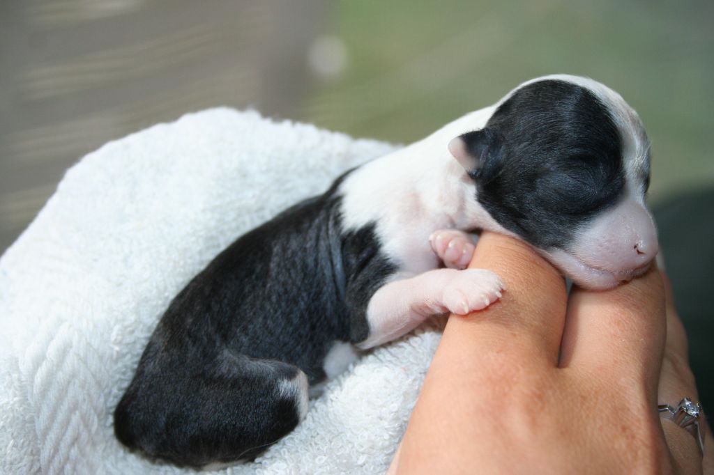 Dresscode-Zero It wasn't meant to be