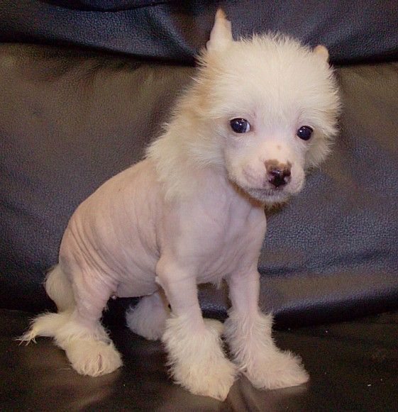 Show'NTells Hallie Berrie