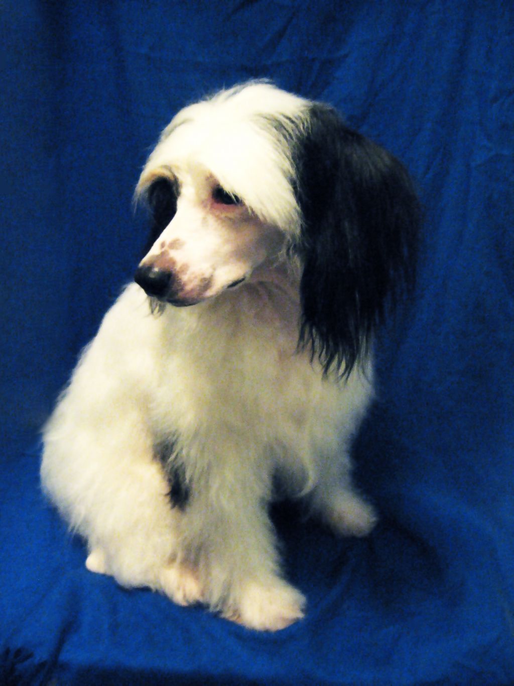 Vanesa Black of Channel