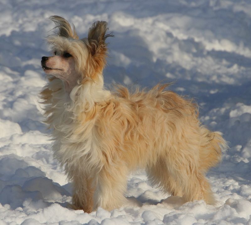 Solino's Rumors Abound