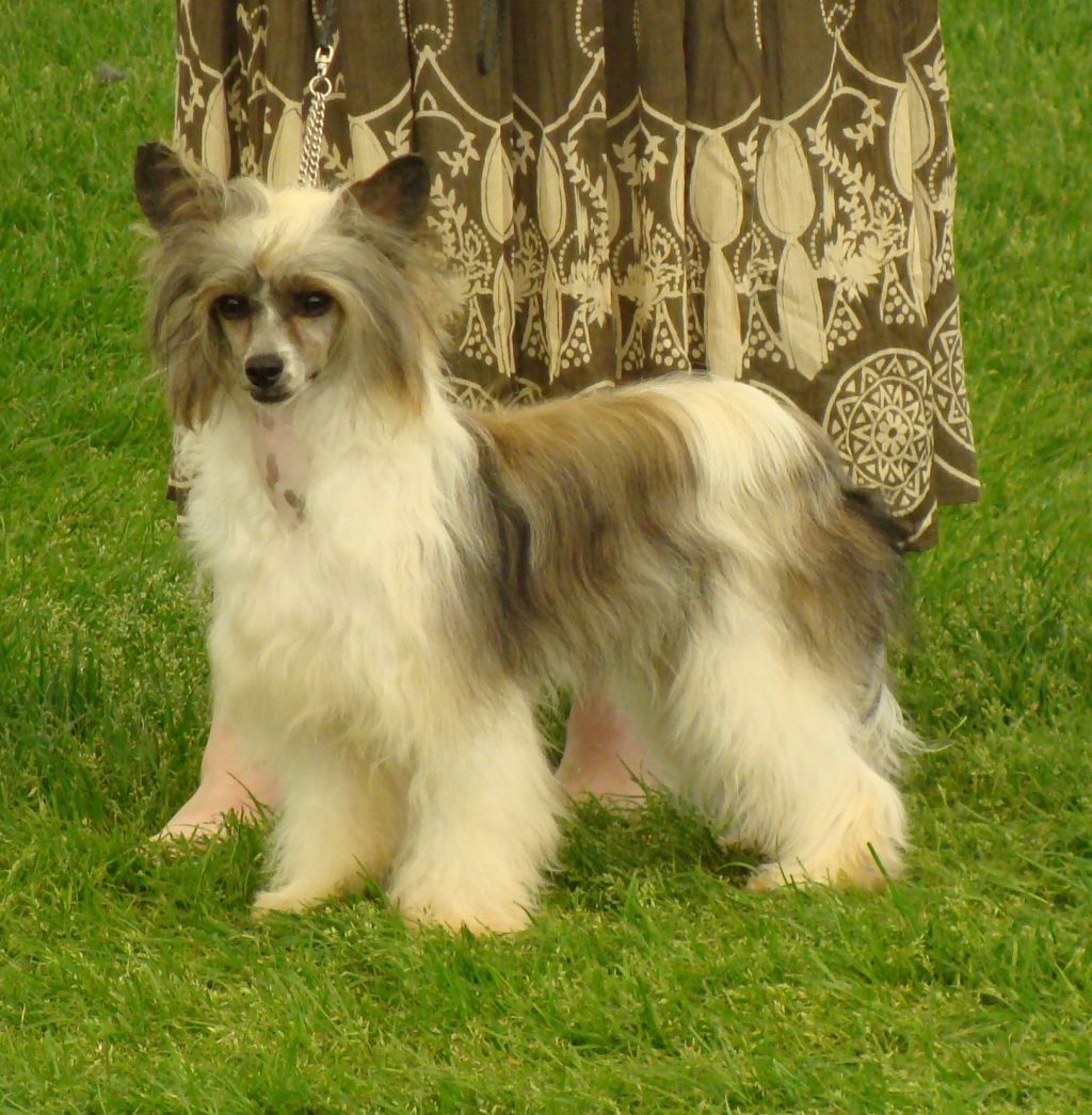 Tamarsh Look No Further