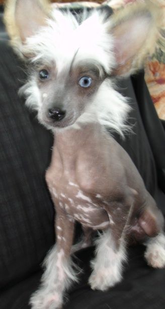 breeze sparkling blue