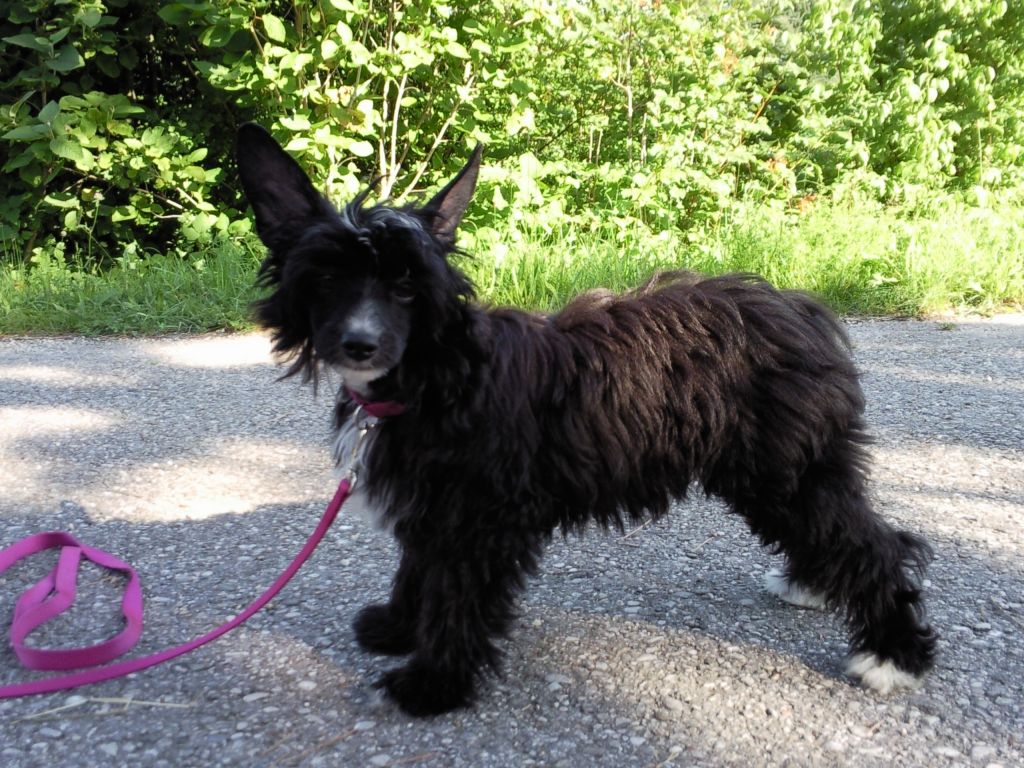 Just Maybe von Shinbashi