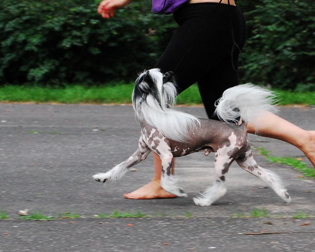 Gracieux Actions Speak Louder