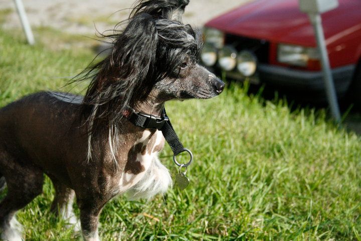 Cute and Crazy Jenna