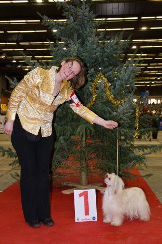 Happy Dancing Keeping Karma