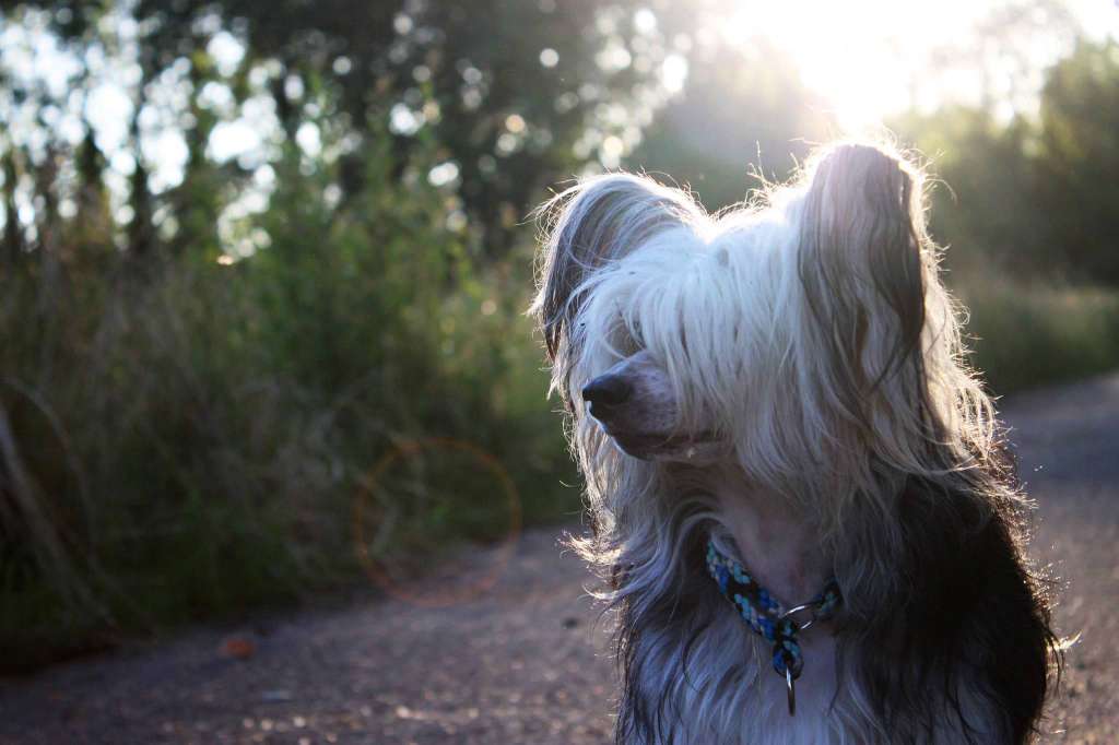 Happy Dancing Killing Kisses