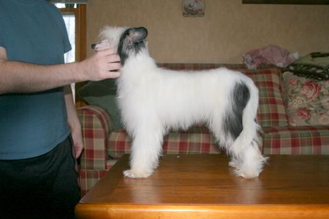 JRF-Luvs4U What Goes Round Comes Round