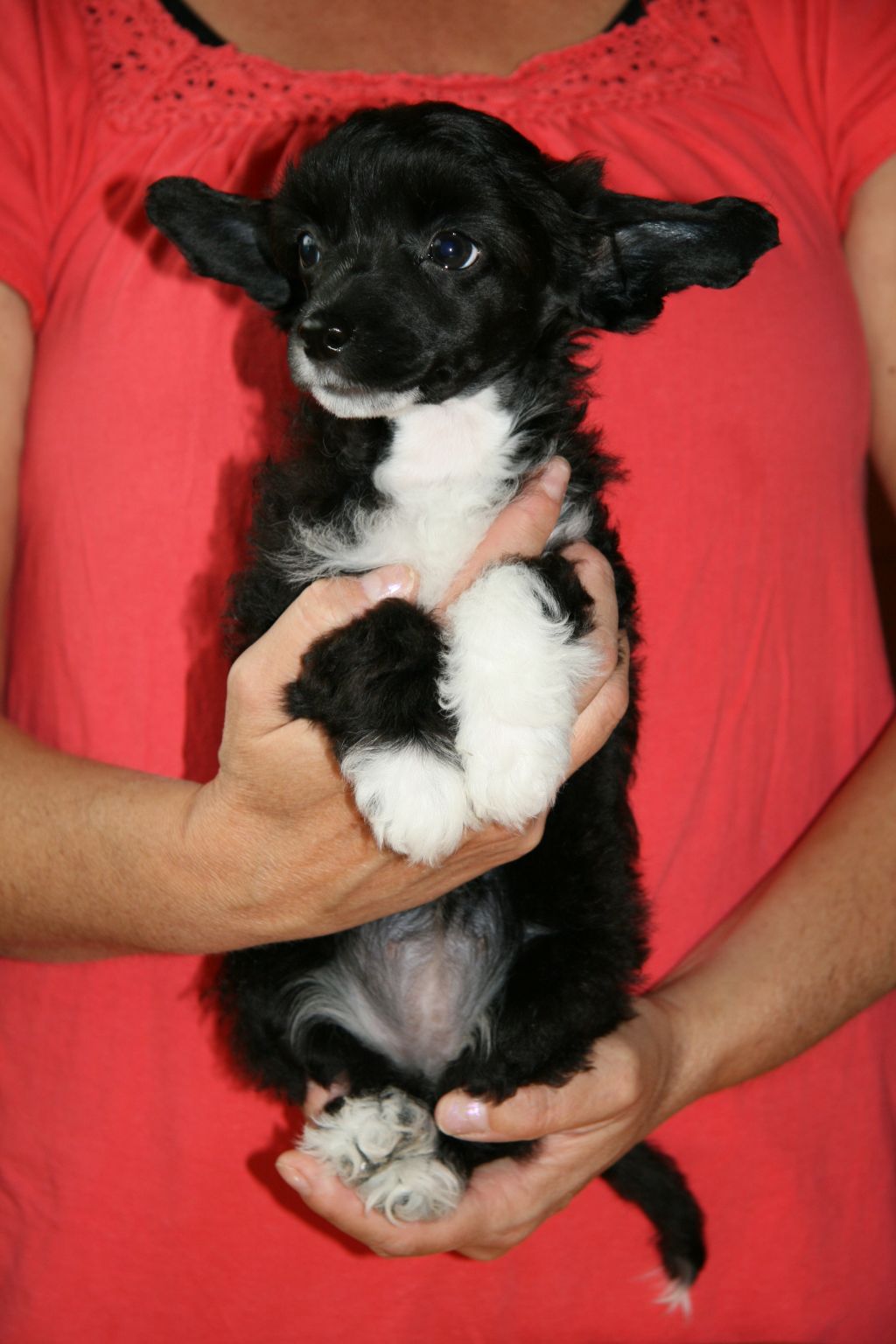 Ridgecrest's Hope And Glory