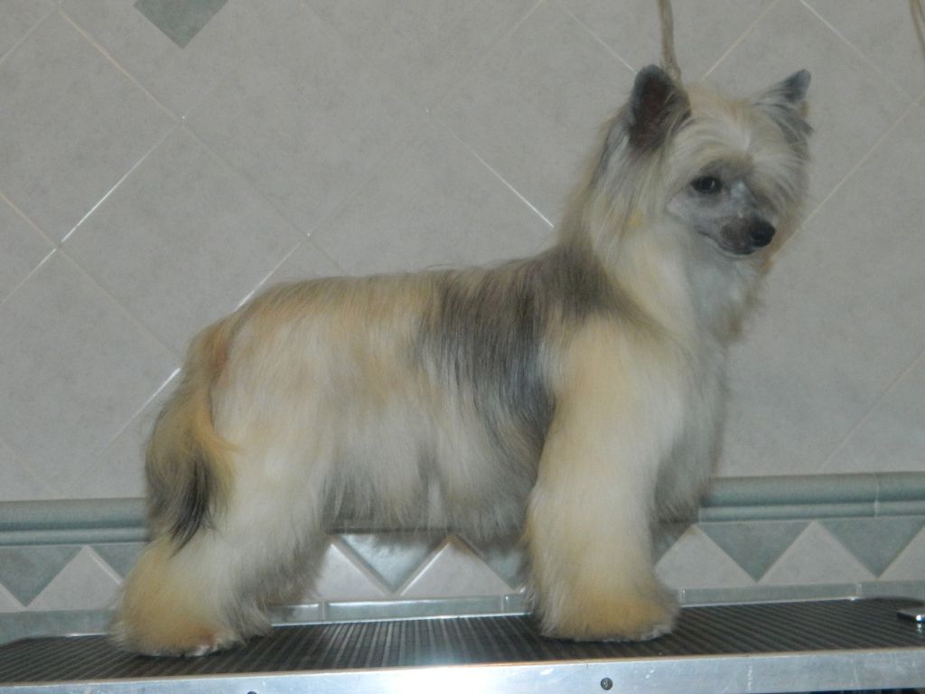 Lady Ml Eternity Chic