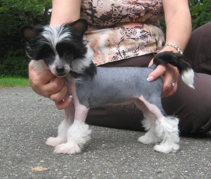 Jewels Got Nothing to Wear