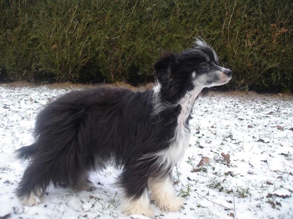 Esperanza Du Coeur Des Tenebres