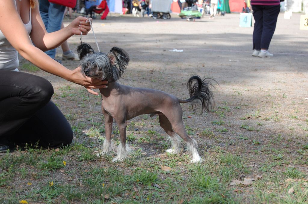 Sun Dan Sweet Key Man