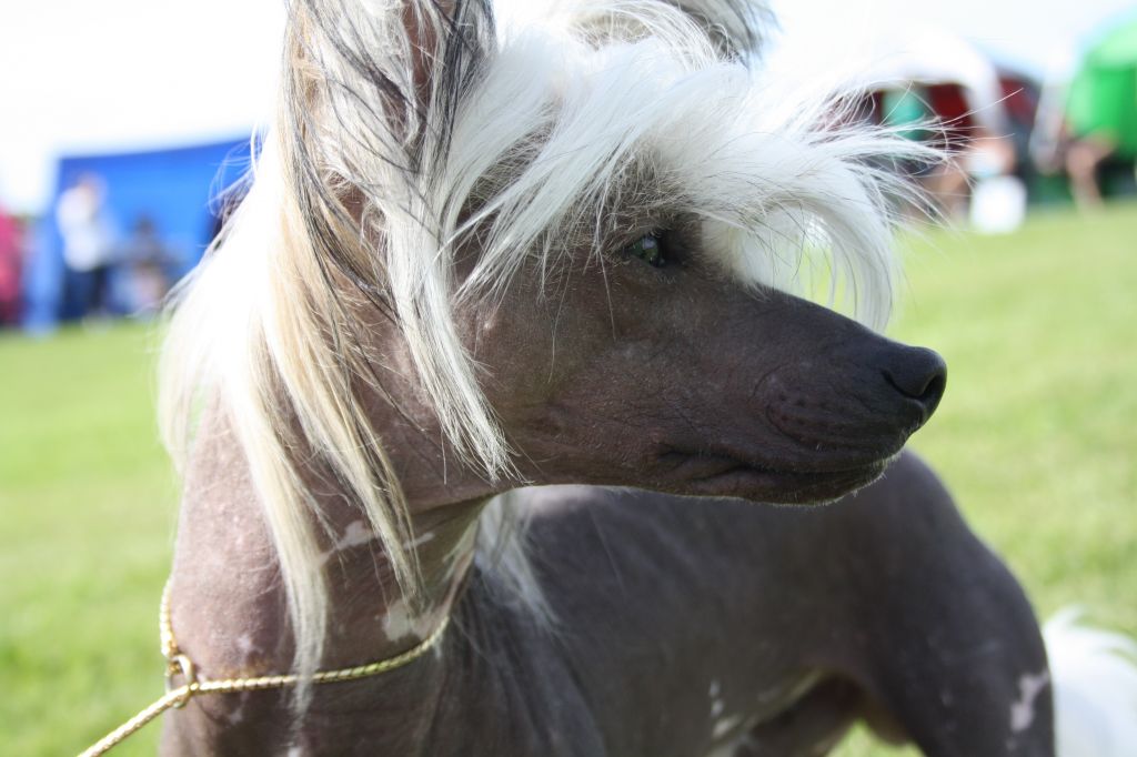 YaGudina's Crush on You