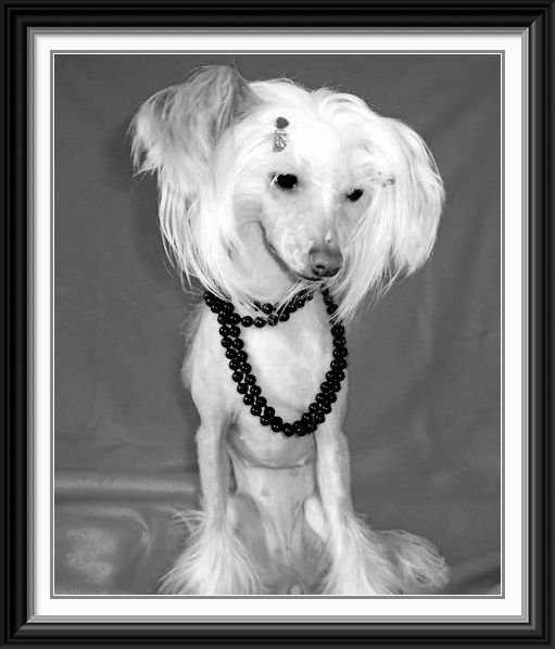 Keeper Girl von Shinbashi