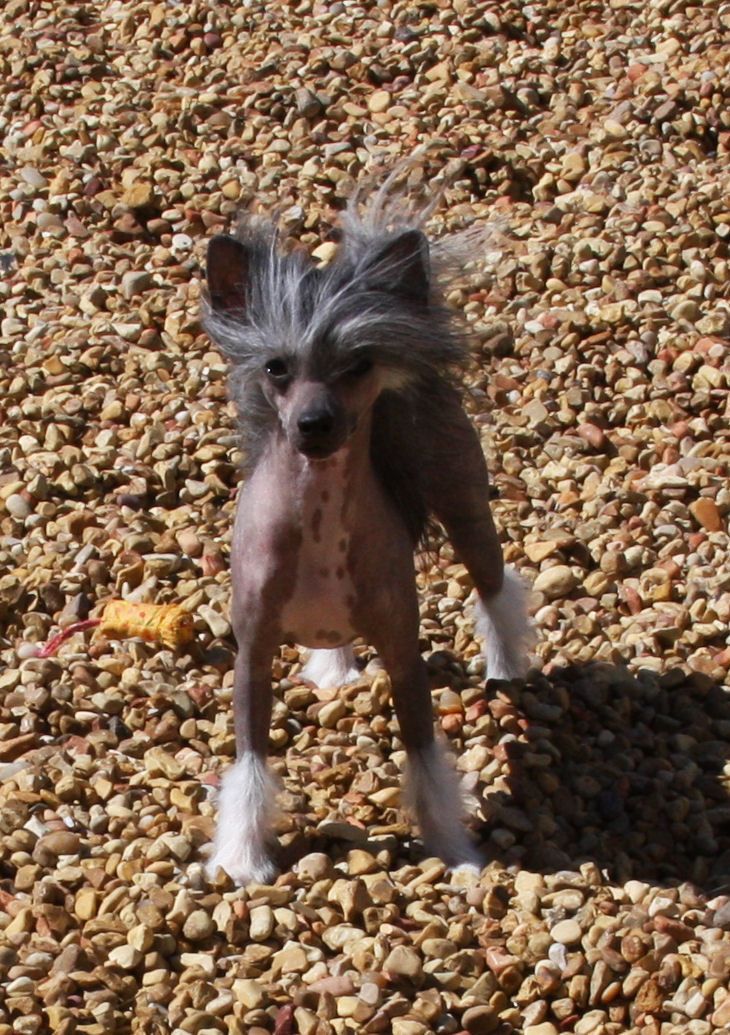 Baldpark's Turn The Page