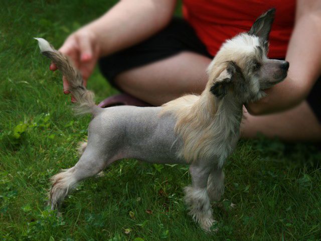 Ksolo Club Veronika Vellar Pljus