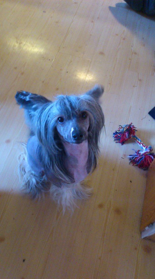 Way More Adorable Than You