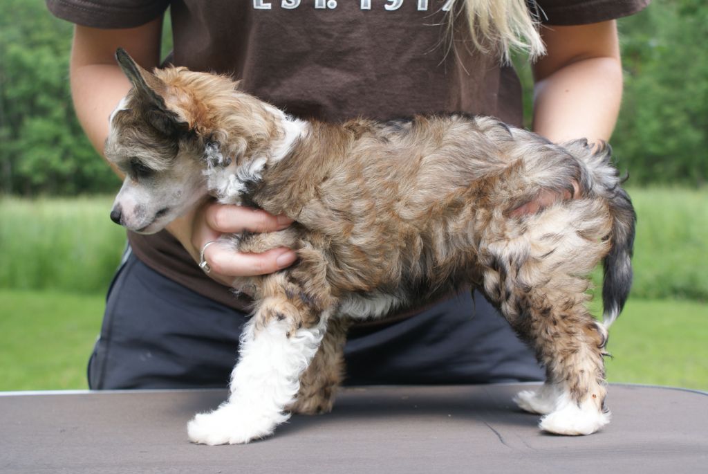 Way More Amazing Than You