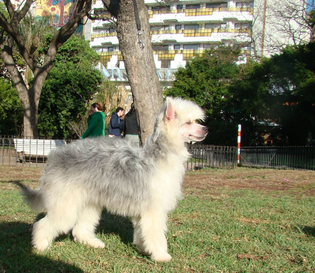 Patagonia Ranch Dolce