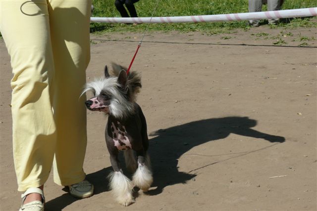  Kristal Yaniry Eksklusiv