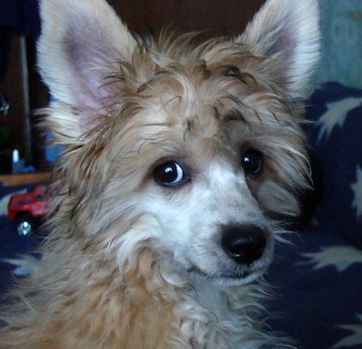 Kristal Yaniry  Ukatan