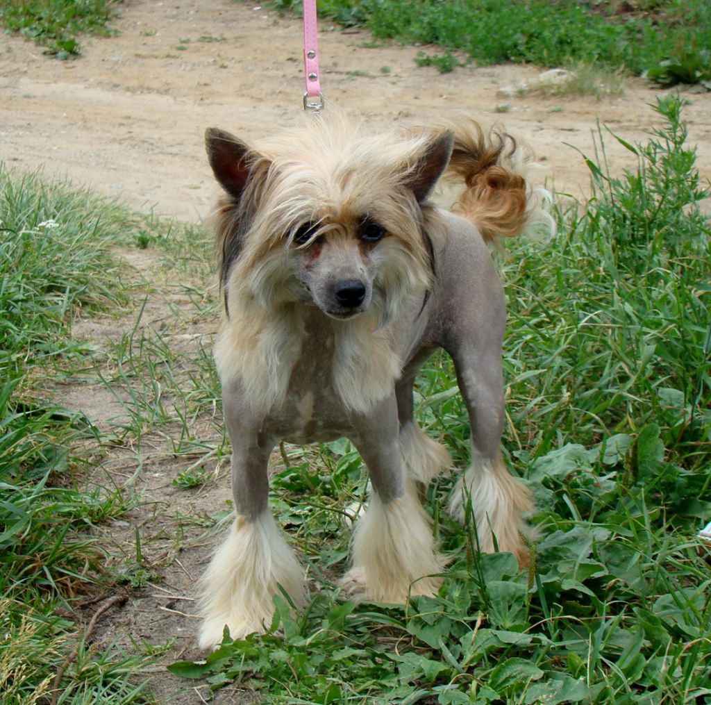 Kristal Yaniry  Ulaukka