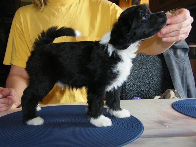 SandruS Chuck Norris