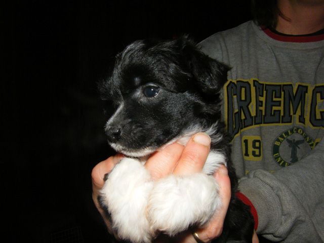 SandruS Cameron Diaz