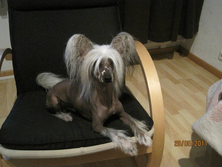 Jualan Ihme Ja Kumma