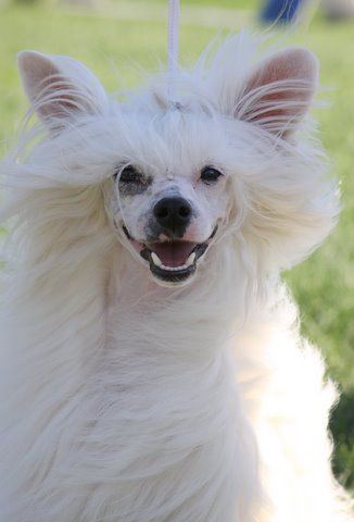 Chattanooga's Paint It Black